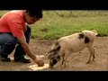 Unearth Justice trailer: Honduras