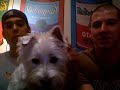 Ingamenow.com and Yardbarker.com Week 4 NFL Podcast