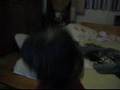 chez-cantando