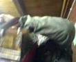 Livekonzert im Eisenbahnerwagen