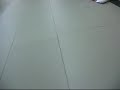 Randori