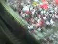 chivas 6 vs morelia 0   cada dia te kiero mas