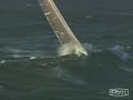 VOLVO OCEAN RACE