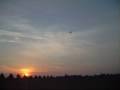 RC parapent testing