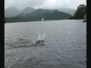 Derwentwater 5.25 Mile Swim Compilation