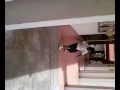 My first steps to skate boarding