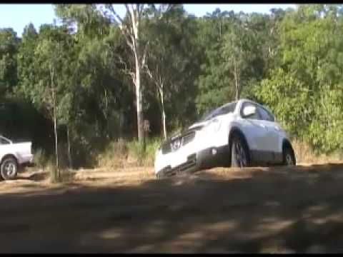 dualis nissan dualis nissan