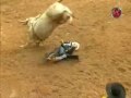 its tough to be a world champion