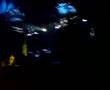 Felix da Housecat