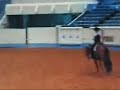 katie lisabeth final