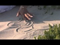 Trash the dress sukneles sunaikinimas.mp4