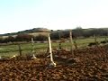 horse jumps four foot seven parallel oxer horse jumps four foot seven parallel oxer