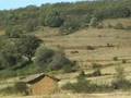 GARFIN. Paseo por Garfin
