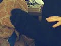 tuxedo feet and smoking #2