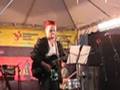 Slon in Sadež - razlog za Blues