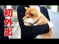YouTube 動画ポップアップ再生