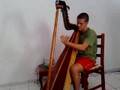 Iron Maiden in the harp