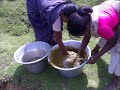 Fish & Prawn Culture