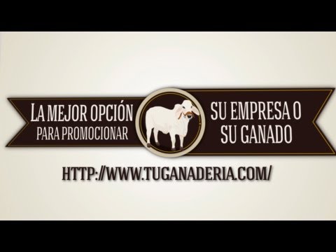 anuncio - Este es un proyecto creado para facilitar el aprendizaje del proceso de registro y publicación de los productos que se pueden montar en la página web tuganad...