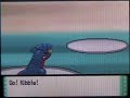 Pokemon Diamond / Pearl Walkthrough Elite Four Flint