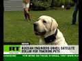 Putin dogs nephew gets first sat nav collar
