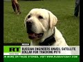 Putin-dogs-nephew-ge
