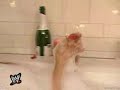 TRISH STRATUS HOT HOT HOT!!!!!!