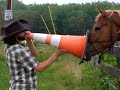 Eric Brumley \"The Singing Horse Whisperer\"