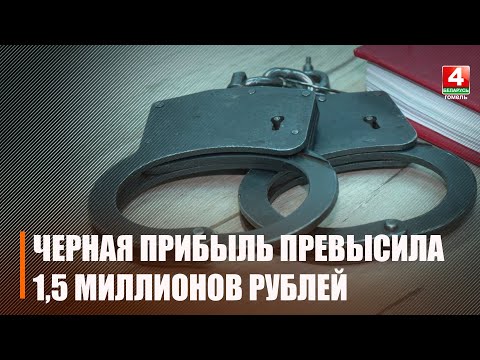 Предприниматель из Мозыря отмывал через знакомых средства и тем самым пополнял карман видео
