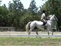 Julie & Kid Jasmine Farm SCDCTA Show 6-7-08 Julie & Kid Jasmine Farm SCDCTA Show 6-7-08