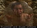 Mr Chanson 1 (animal) Mr Chanson 1 (animal)