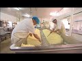 cheese cheddar west country cheddarvision farm cows