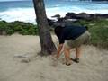 videos de captain climbs a tree