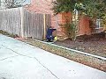 Squirrel Stuck in Downspout