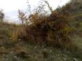 ENDURO KATERINI