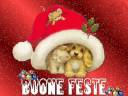 Buon Natale 2008 a Tutti