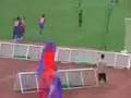 2008/6/8 FC東京・ナビスコ第6節 vs ヴェルディ・平山ゴール2・逆転ゴール