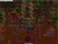 Tibia Demon Oak Quest Summer Update 2008