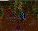 Tibia Demon Oak Quest Summer Update 2008