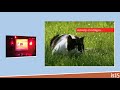 YouTube - is15 #Webzijn zonder website