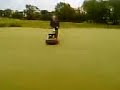 diarmuid dempsey probably the best greenkeeper in the world!