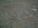 Efectos Made In Palencia