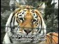 Tu?ne o?i ZOO 2/2 Tu?ne o?i ZOO 2/2