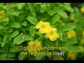 O quizas simplemente le regale una rosa,Leonardo Favio ?