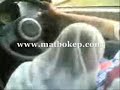 Click here to watch this video VIDEO BISPAK DLM MOBIL HANGAT