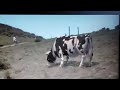 Video Kumpu fight Video Kumpu fight