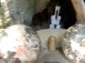 まりもっこり動画18