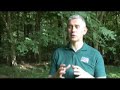 Looking after your own woodland - a big responsibility? Looking after your own woodland - a big responsibility?