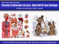 Muscle Key To Fat loss 0001