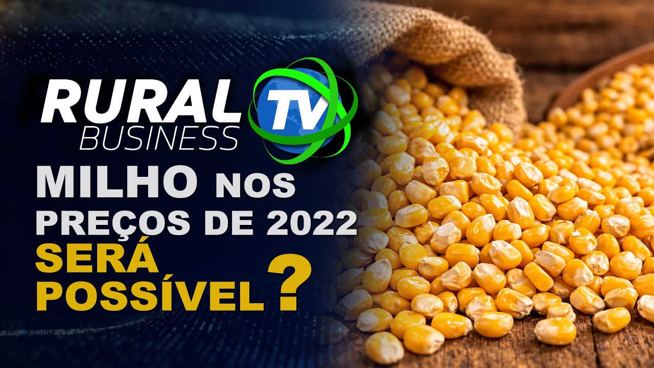 MILHO NOS PREÇOS DE 2022: SERÁ QUE ISSO É POSSIVEL?